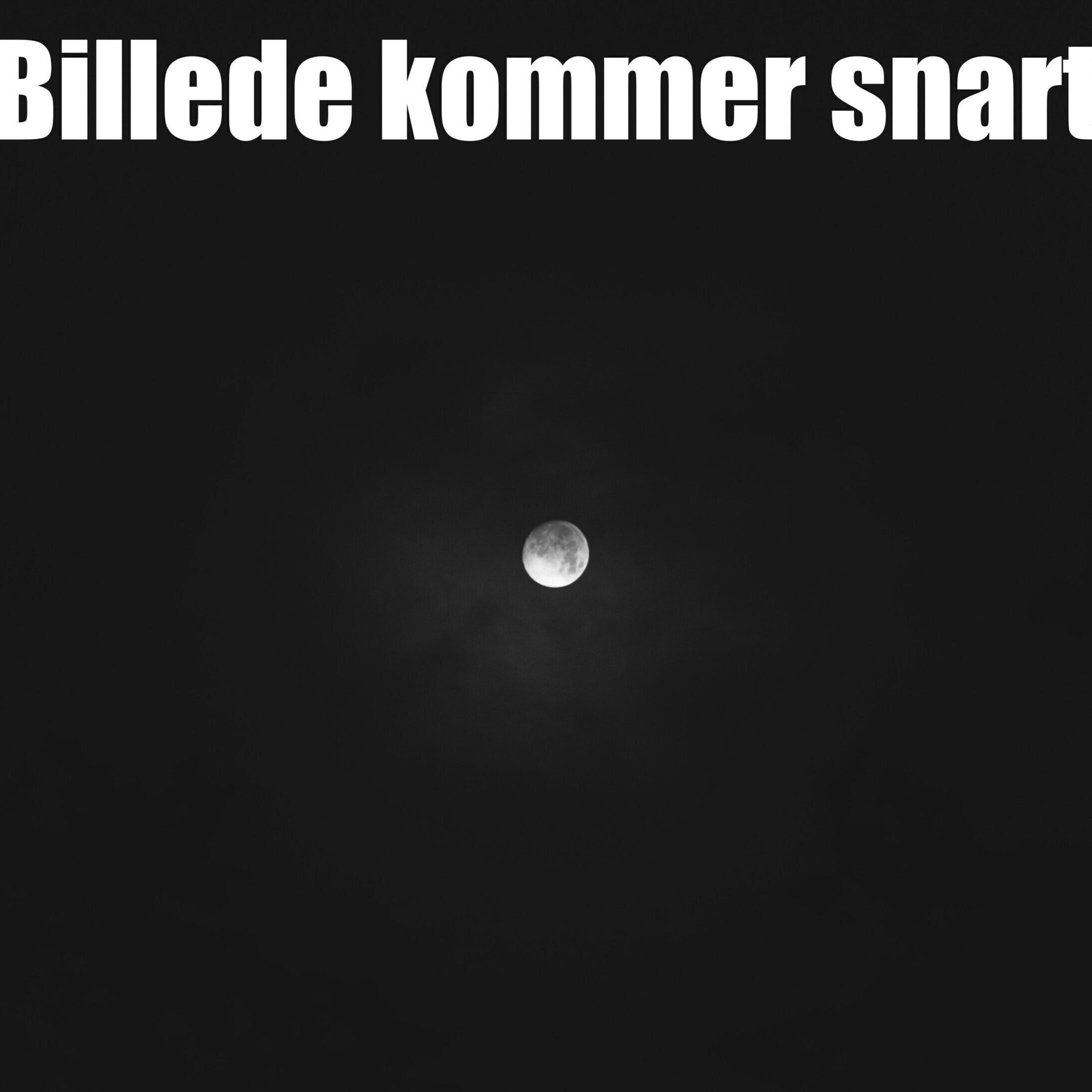 cropped-cropped-cropped-cropped-cropped-cropped-cropped-cropped-cropped-cropped-Billede-kommer-snart-51-scaled-2-1.jpg